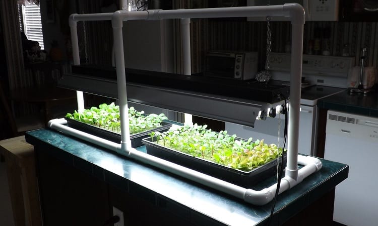 How to Make DIY LED Grow Lights