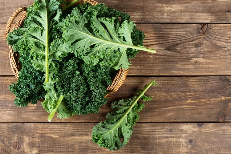 Is Kale Good for Indoor Planting?