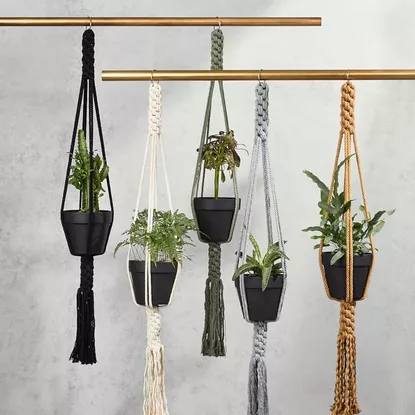 Filament Plant Hanger